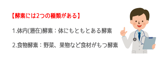 �y�f�͑̓��y�f(���ݍy�f)�ƐH���y�f��2��ނɕ�������B